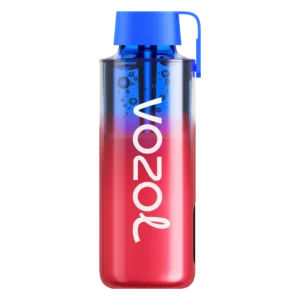 VOZOL NEON10000 FROZEN STRAWBERRY KIWI