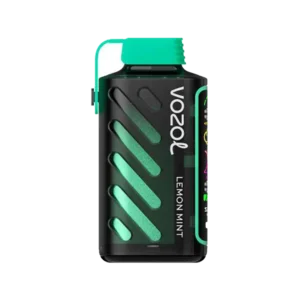 VOZOL GEAR POWER 20000 LEMON MINT